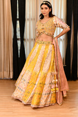 Kalidaar Banarasi Silk Lehenga